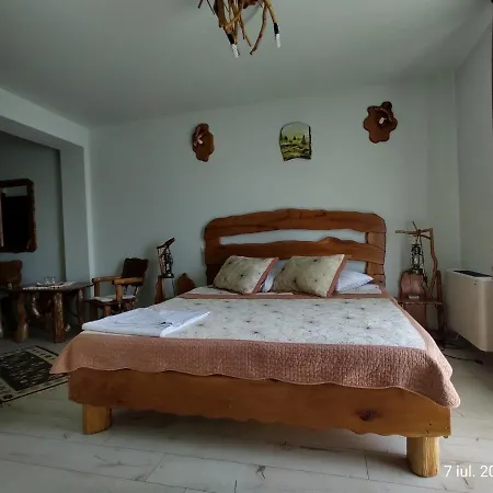 Pensiunea Terra Rosa Guest house Biltisoara